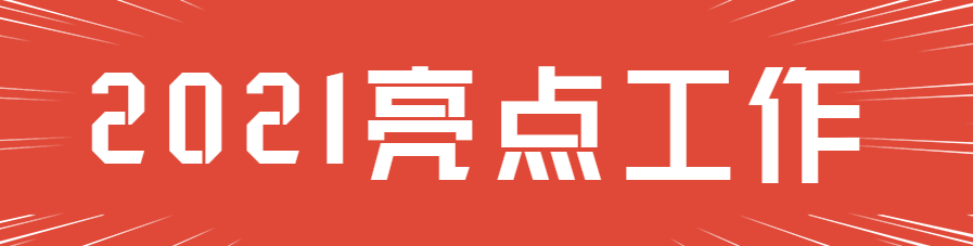 2021亮点工作